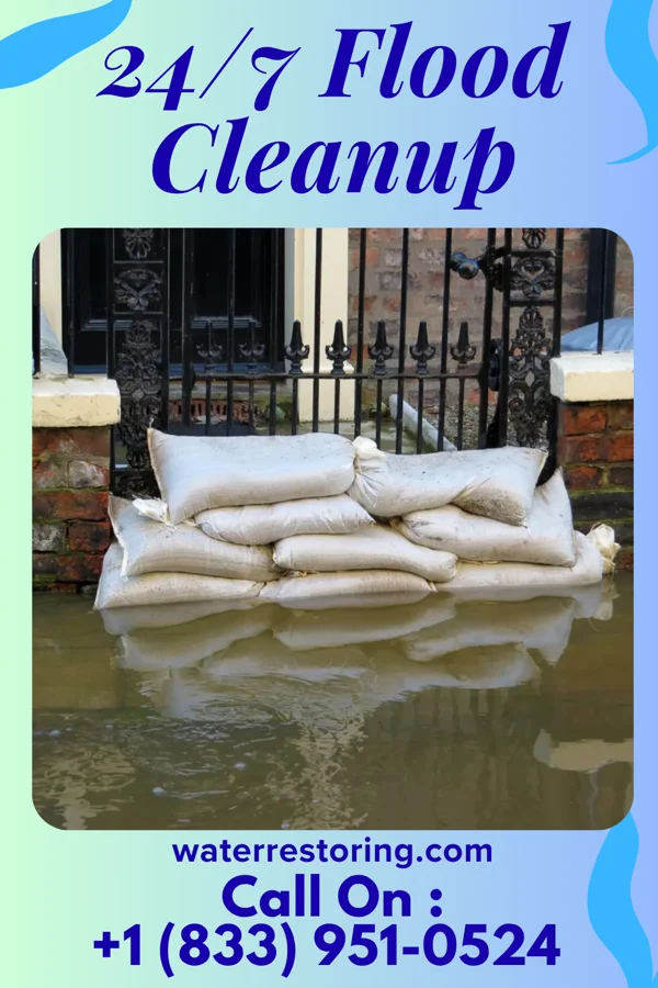 24/7 Flood Cleanup in Ridott, IL