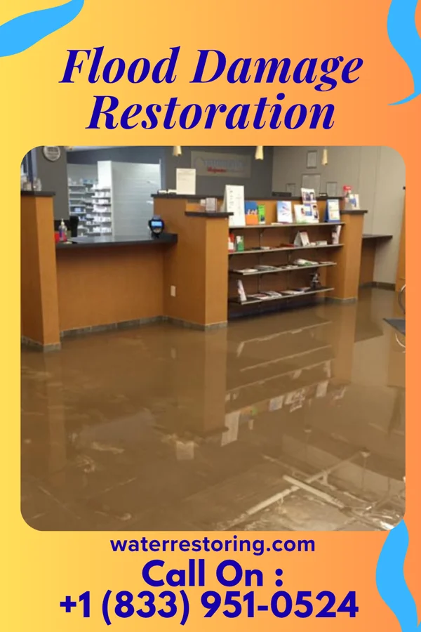 Flood Damage Restoration in Ridott, IL