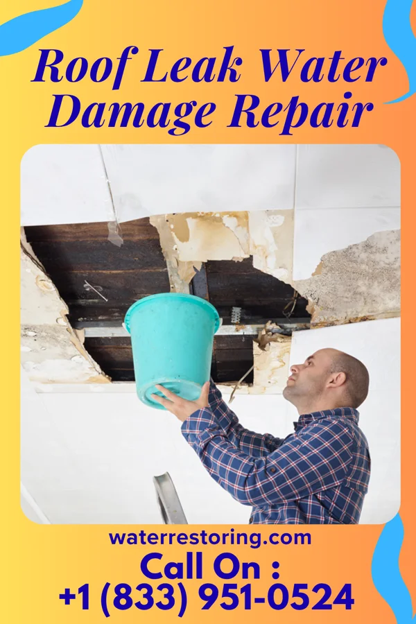 Roof Leak Water Damage Repair in Ridott, IL