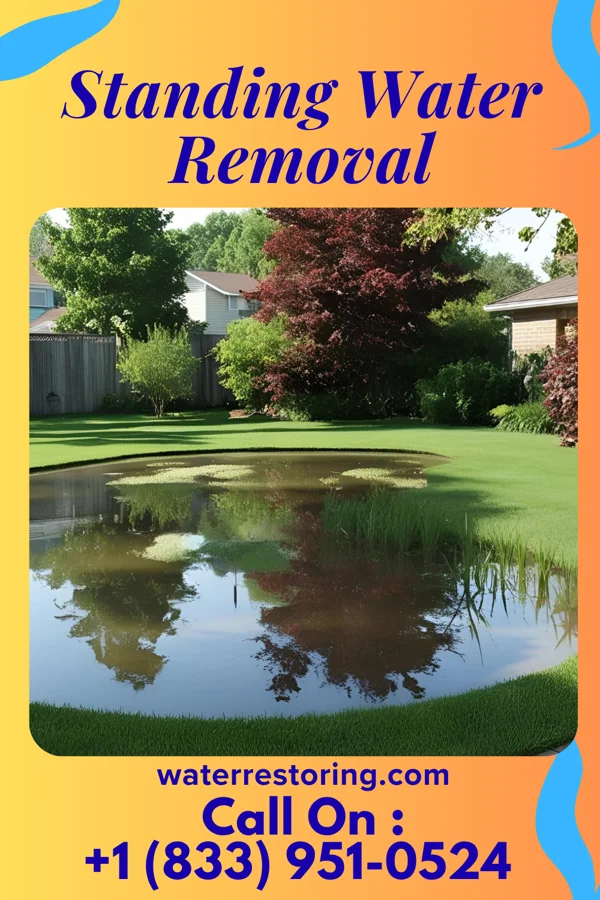 Standing Water Removal in Ridott, IL